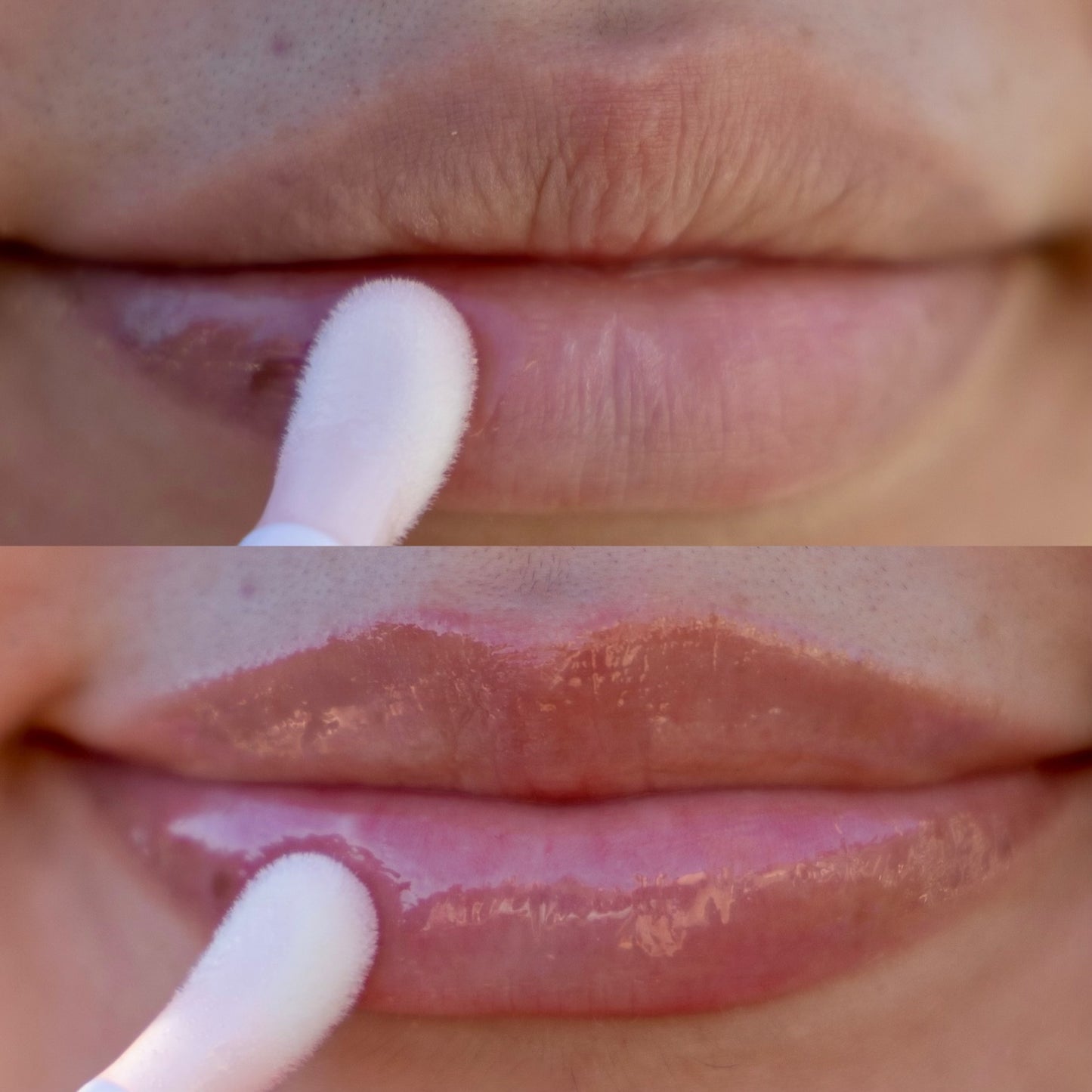 The Brow Studio But Make It .. Hydrated Lips | Lip Oil